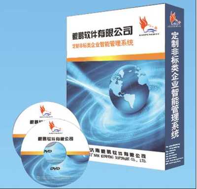 山東地區(qū)軟件開發(fā)與計算機系統(tǒng)服務(wù)全覽 非標(biāo)軟件、公眾號開發(fā)與系統(tǒng)解決方案